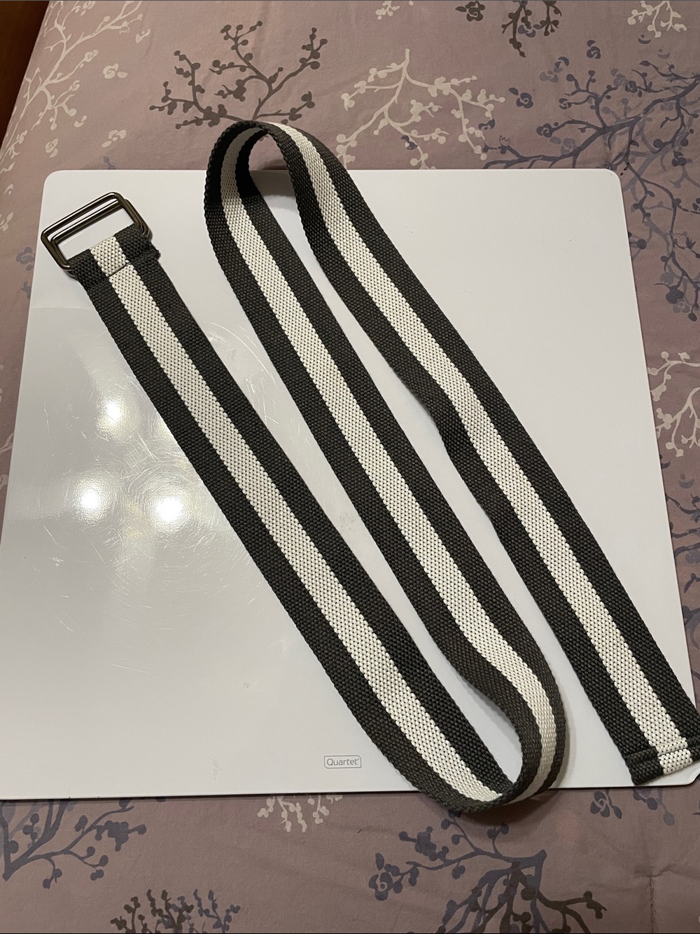 Striped Gray and White Webbing Belt - Men Accessories